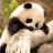 amanda_smith